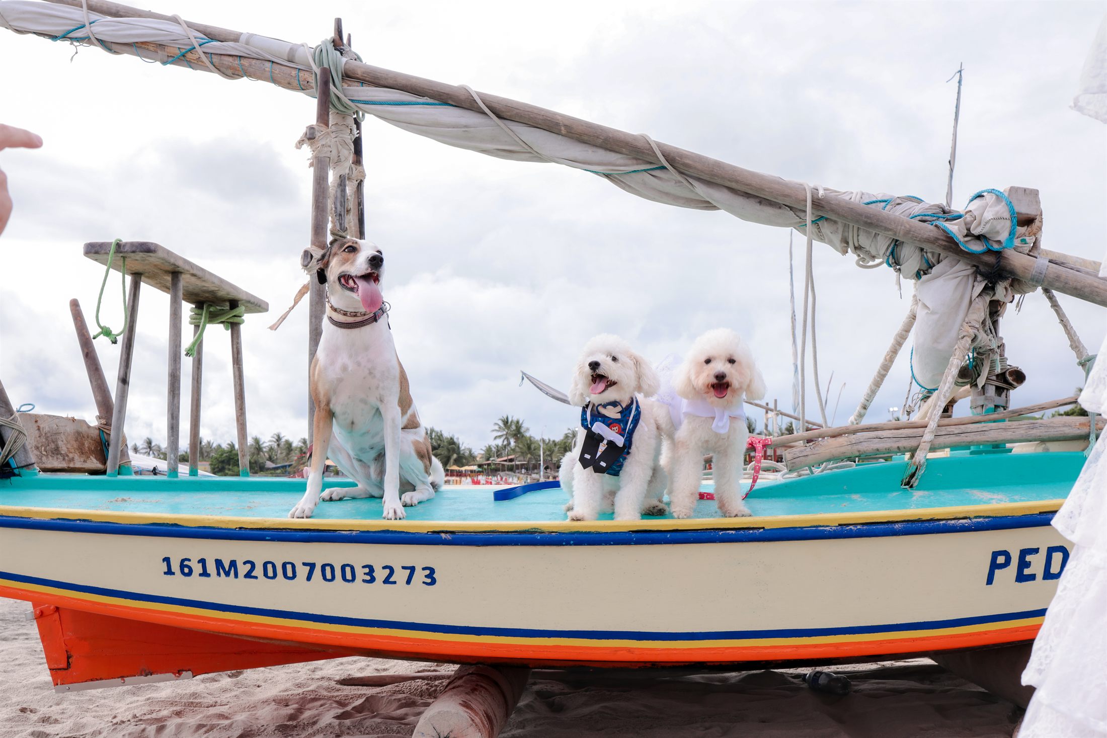 Pitika, Bartho e Amy dentro do barco